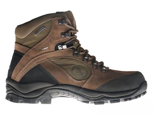 Aigle